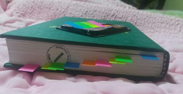 16295361_10212091857154389_573799424_nn